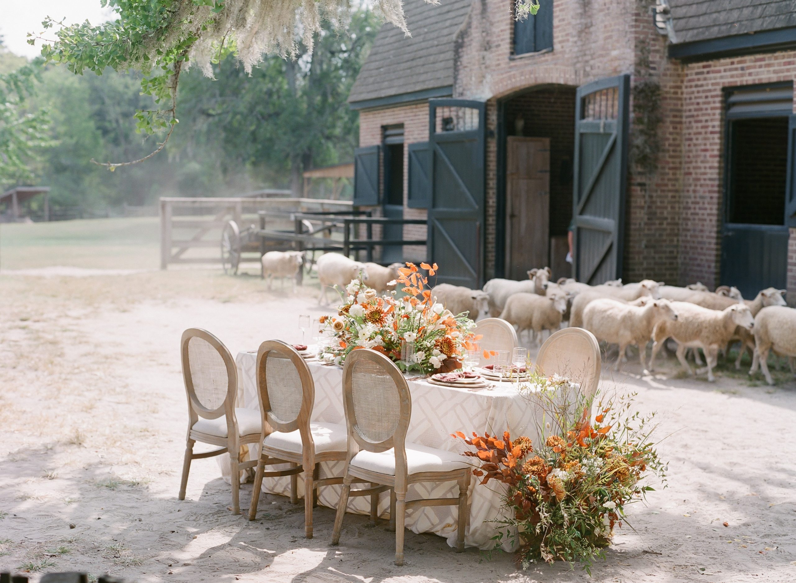 Wedding Inspiration
